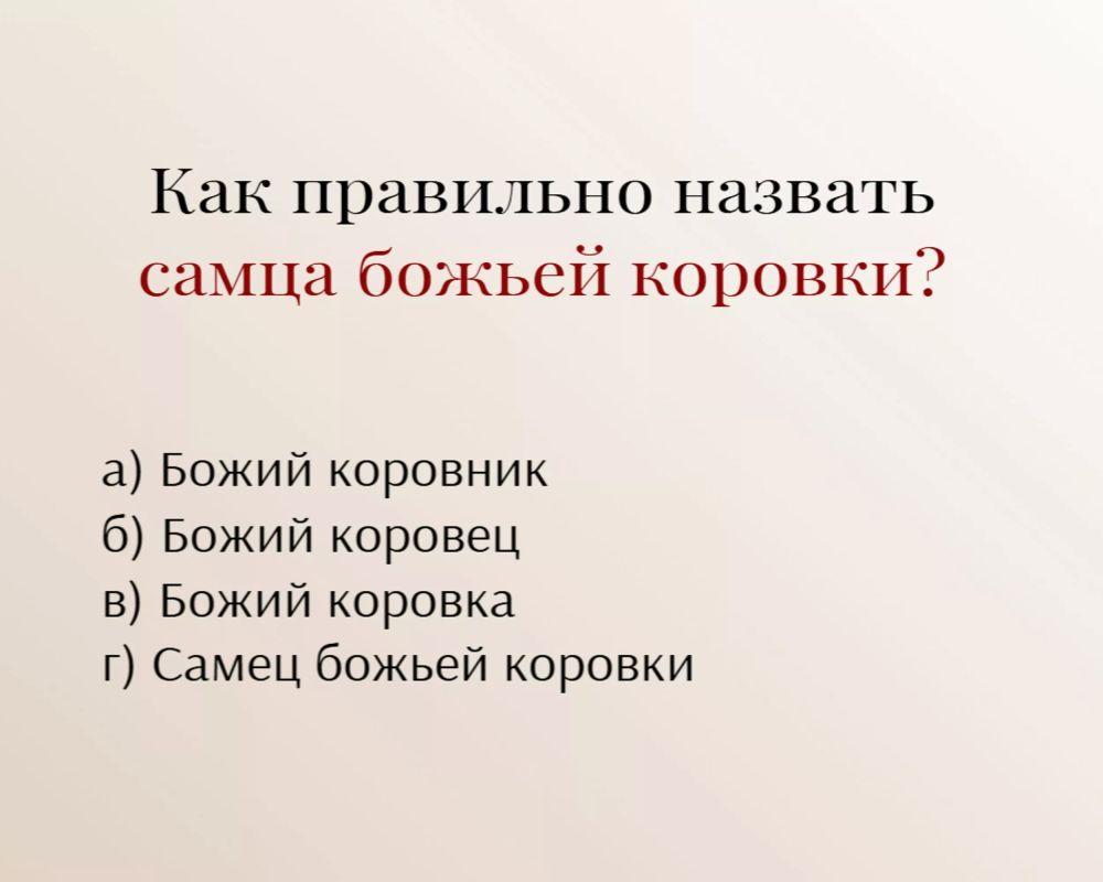   :     ?
