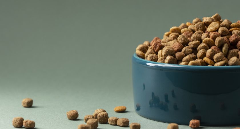 Роскачество назвало марки кормов для кошек, которые не стоит покупать Роскачество назвало марки кормов для кошек, которые не стоит покупать