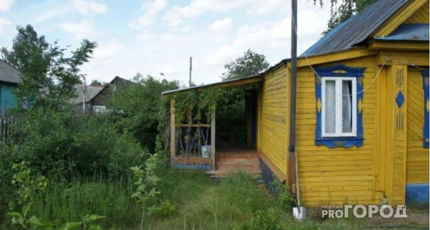 Клён ясенелистный: почему это растение может стать проблемой для вашего сада Клён ясенелистный: почему это растение может стать проблемой для вашего сада