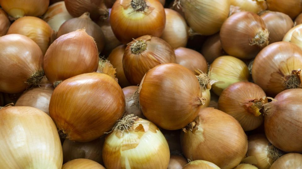 Как простые продукты из кухни подарят вам урожай лука на удивление Как простые продукты из кухни подарят вам урожай лука на удивление