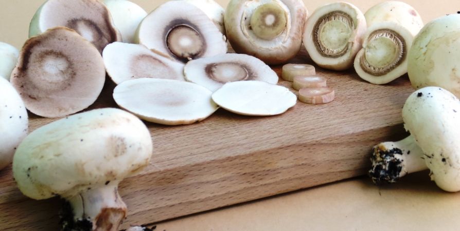 Грибы в маринаде: быстрый и вкусный рецепт для душевного застолья Грибы в маринаде: быстрый и вкусный рецепт для душевного застолья