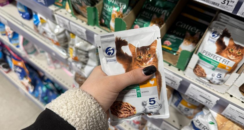 Осторожно, токсины: эксперты назвали марки кошачьего корма, которые могут навредить питомцу Осторожно, токсины: эксперты назвали марки кошачьего корма, которые могут навредить питомцу