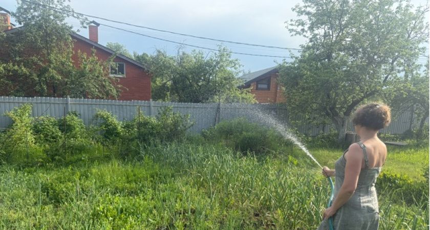 Дачники, будьте осторожны: за что можно получить крупный штраф на участке Дачники, будьте осторожны: за что можно получить крупный штраф на участке