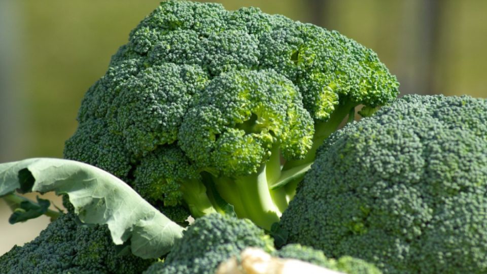 Секреты приготовления брокколи: как добиться идеального вкуса