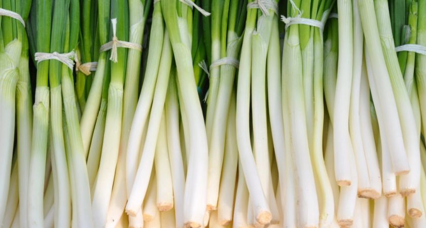 Секреты хранения зеленого лука: как продлить его свежесть и пользу