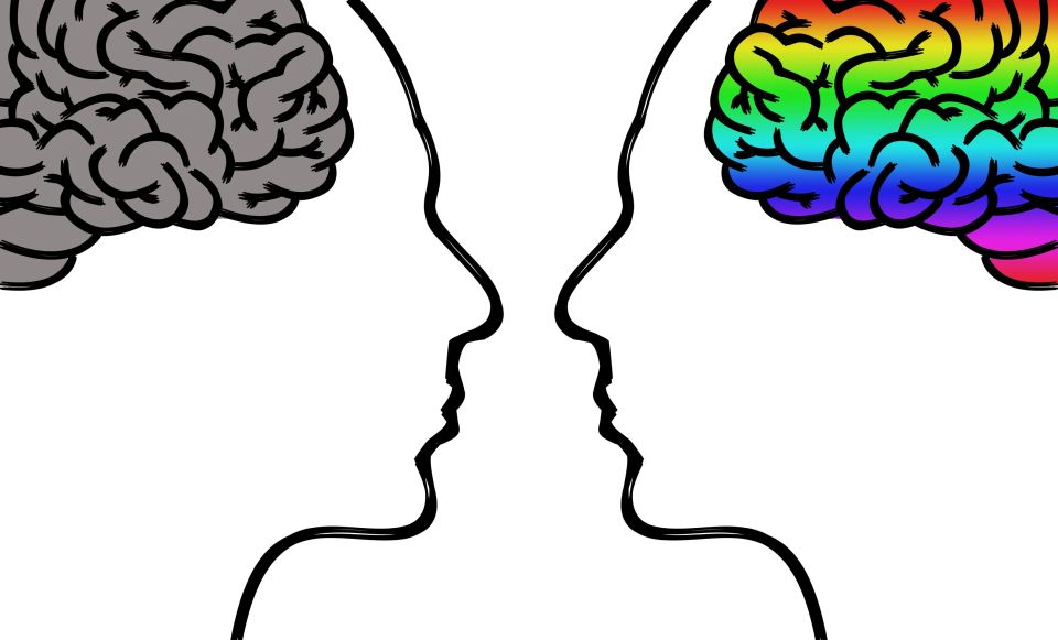   ?  IQ     