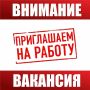 Внимание, соискатели! МВД по Республике Мордовия объявляет о новых возможностях для трудоустройства в контрольно-ревизионном отделе.