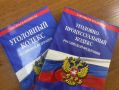 В Зубово-Полянском районе местная жительница осуждена за оскорбление чиновника и повторное вождение в состоянии опьянения