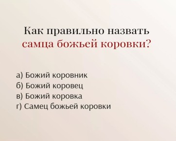   :     ?