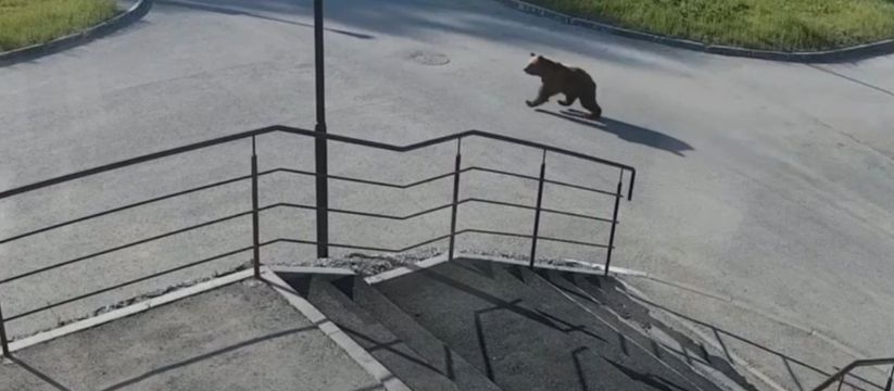   -:  ,    
