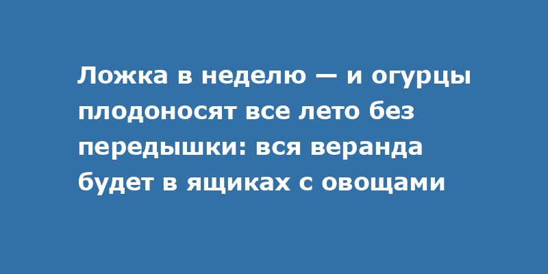     :     