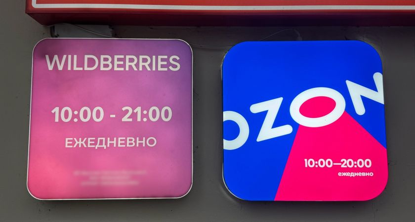 Wildberries  Ozon   :     