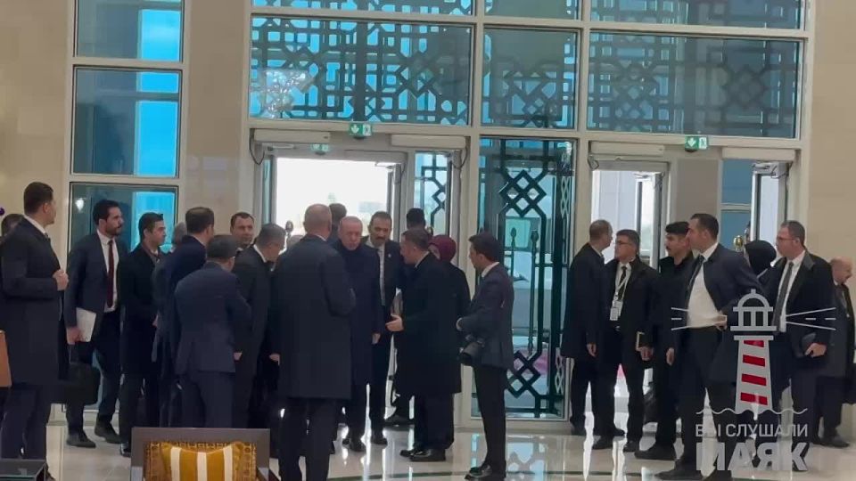 ����� �������� ������� ������ � ��������