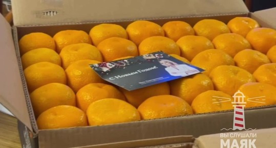 В Госдуме установили ёлку, принимают заказы на десерты к новогоднему столу и … привезли мандарины